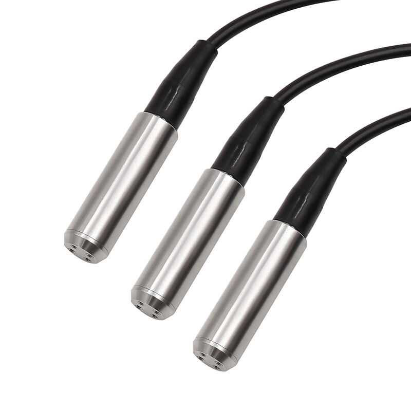 WNK 4 ~ 20mA 0-10V RS485 Nehirler ve Göller için Paslanmaz Çelik Su Tankı Seviye Sensörü