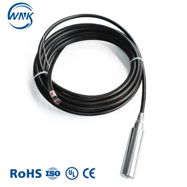 WNK8010 Patlamaya Dayanıklı Dalgıç Su Seviyesi Vericisi, 4-20mA Çıkışlı, %0.2 FS Doğruluk, CE ROHS